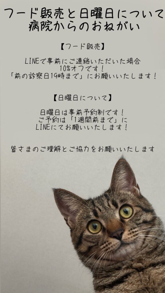 フード販売と日曜日についてお願い